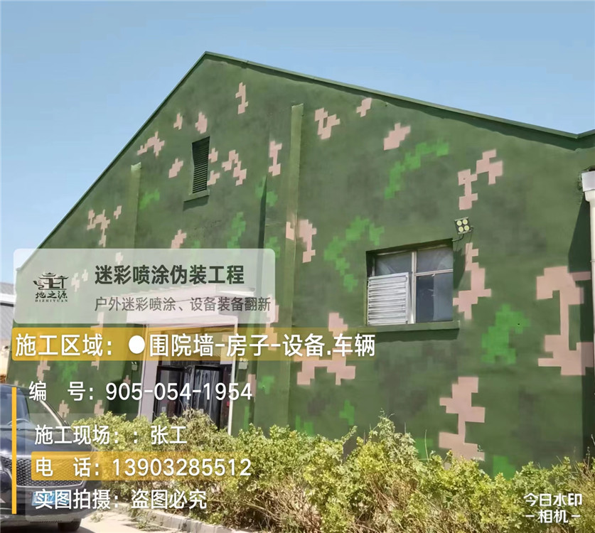 漳州外墙数码迷彩漆施工报价清单（100㎡标准墙面测算）